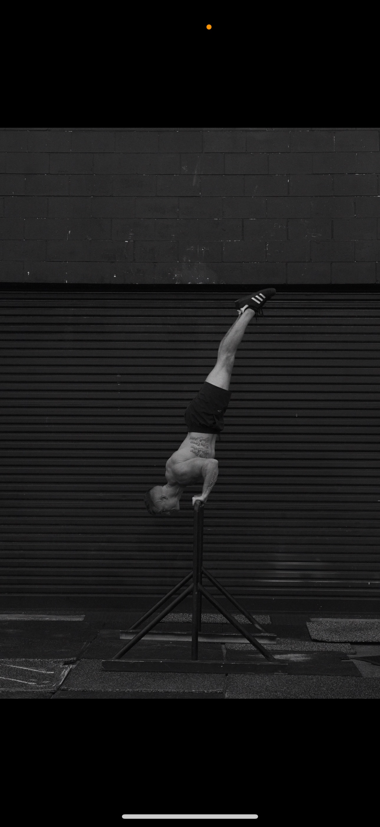 Shane training