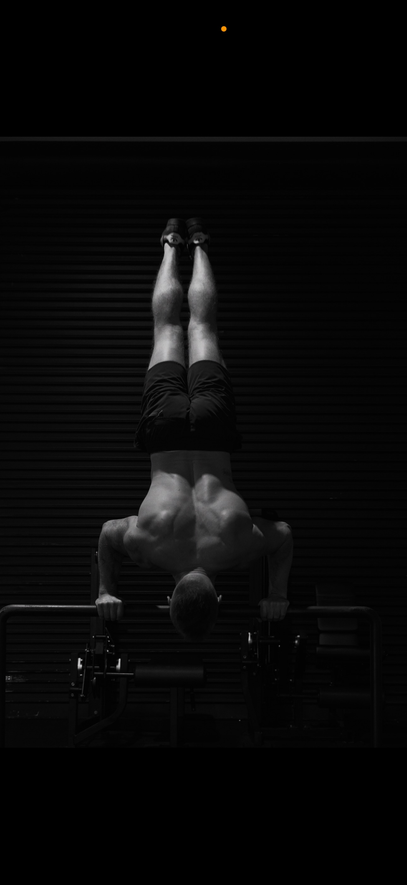 Shane training