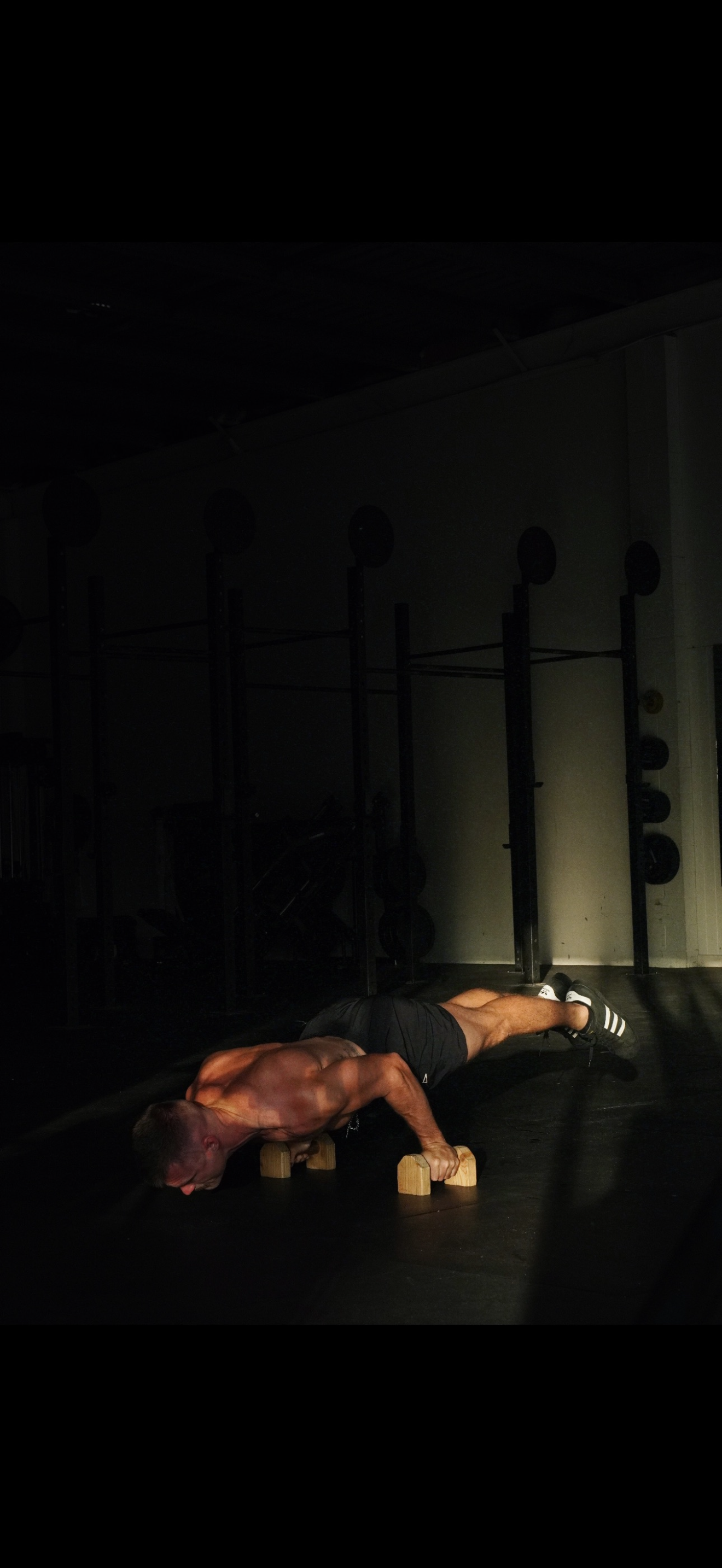 Shane training