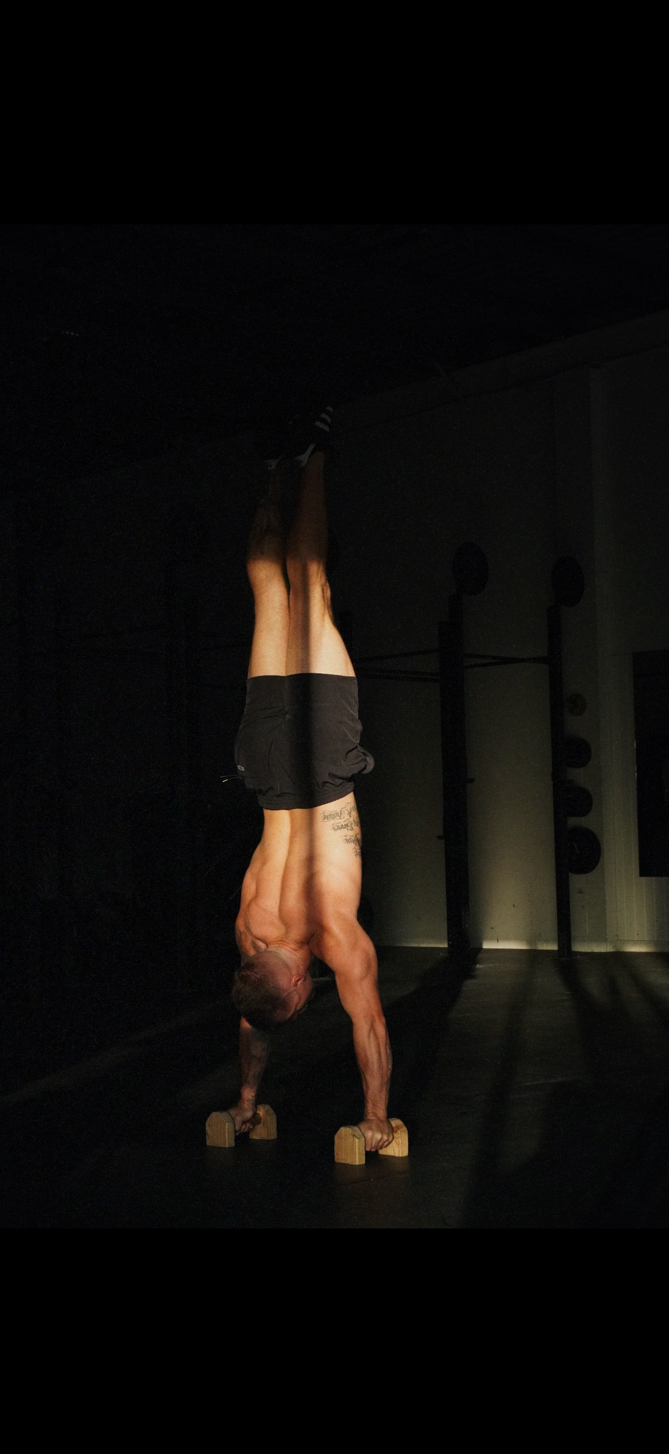 Shane training