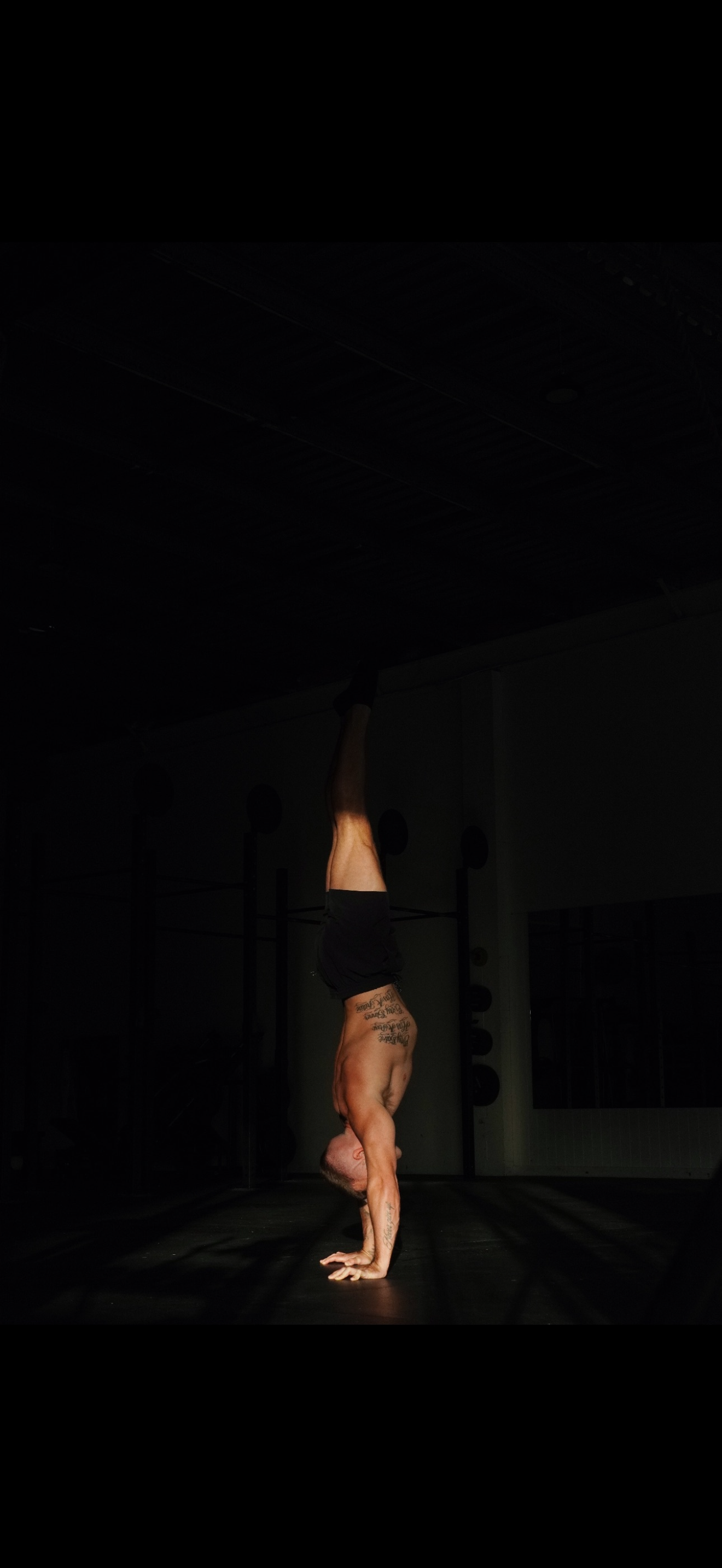 Shane training